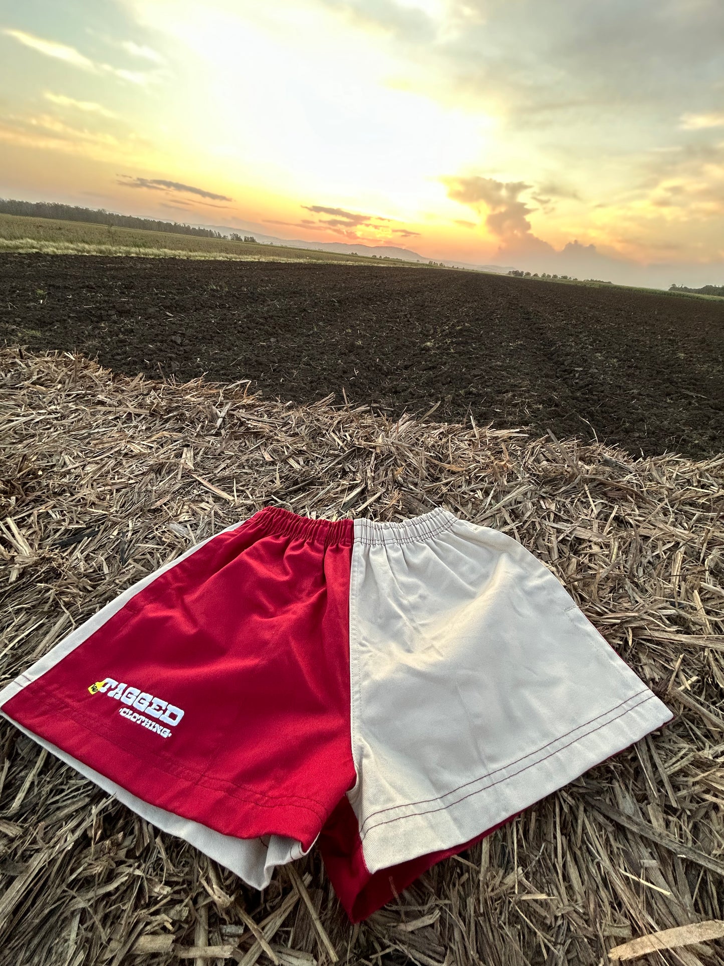 Work Shorts - Maroon + Beige